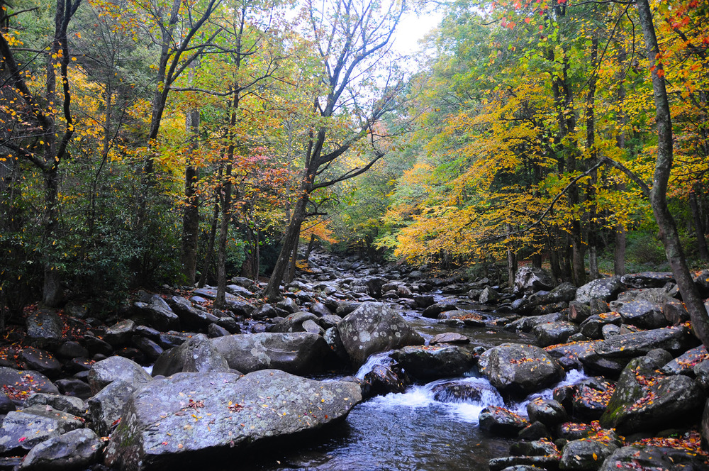 The Chimneys Picnic Area, Great Smoky Mountains National Park, North Carolina/Tennessee | Photo Credit: NPS