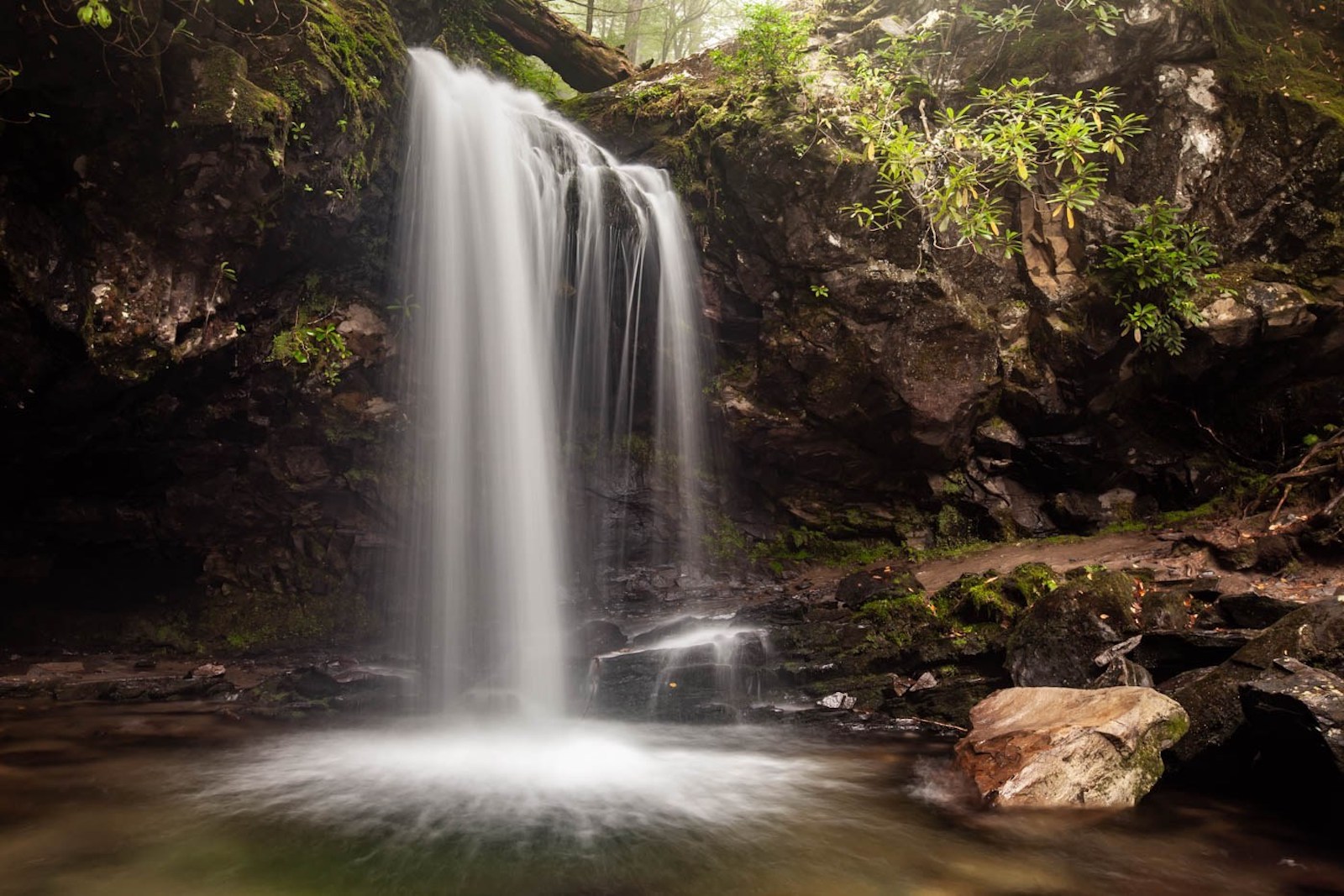 Grotto Falls, Great Smoky Mountains National Park, North Carolina/Tennessee | Photo Credit: Vezzani Photography