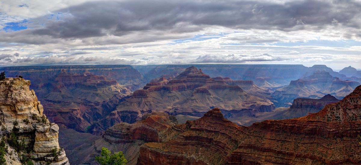 Grand Canyon National Park Wildlife