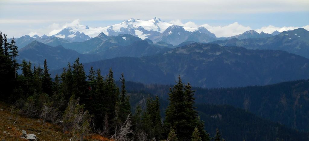 Olympic National Park, Washington | Photo Credit: NPS