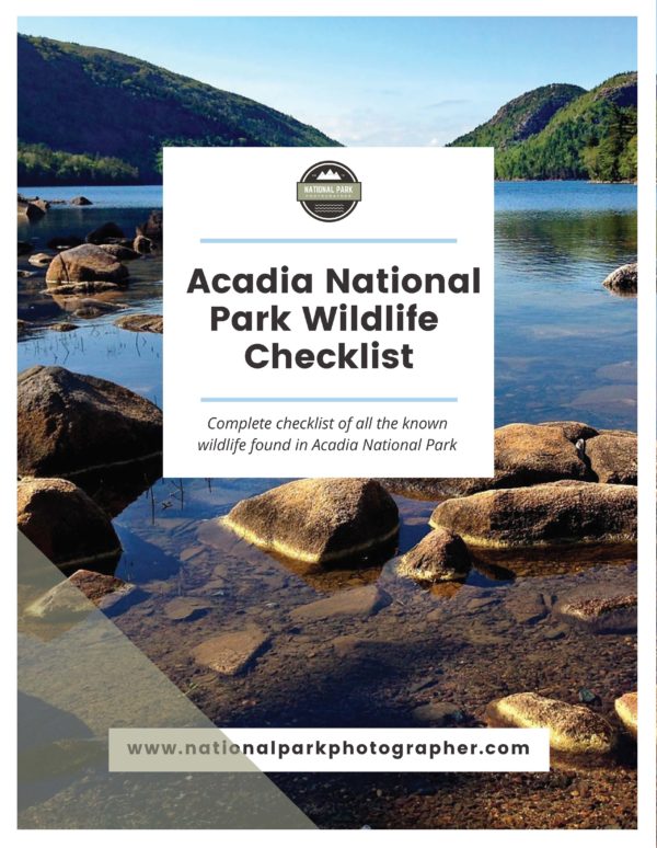 Acadia National Park Wildlife Checklist