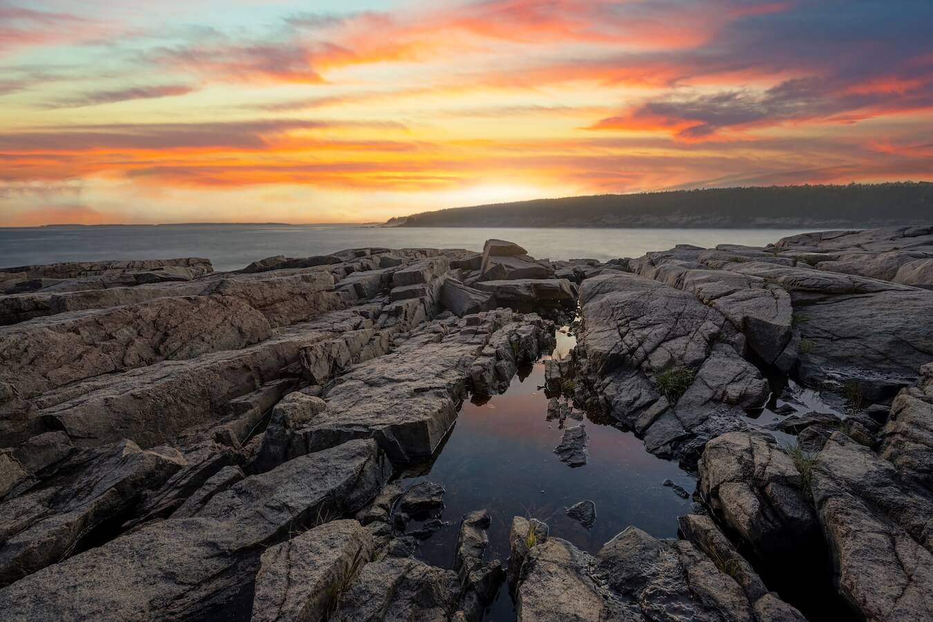 Ocean Path, Acadia National Park, Maine | Photo Credit: Shutterstock / Mike Ver Sprill