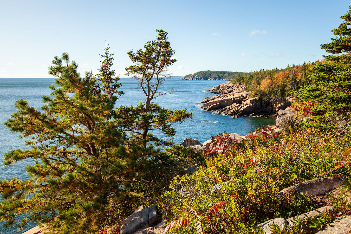 Ocean Path, Acadia National Park, Maine | Photo Credit: Vezzani Photography