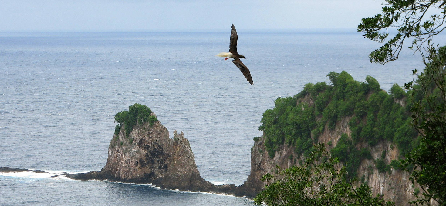 Pola Island, National Park of American Samoa | Photo Credit: NPS