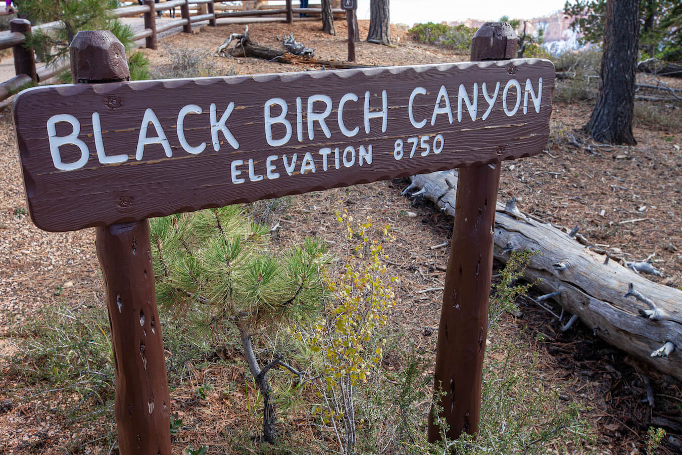 Black Birch Canyon Overlook, Bryce Canyon National Park, Utah | Photo Credit: Vezzani Photography