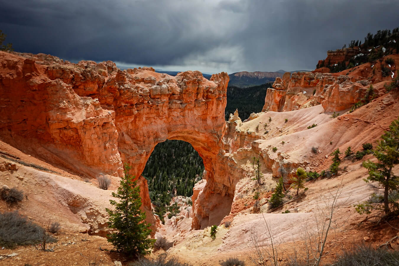 Natural Bridge, Bryce Canyon National Park, Utah | Photo Credit: Cassandra Vezzani