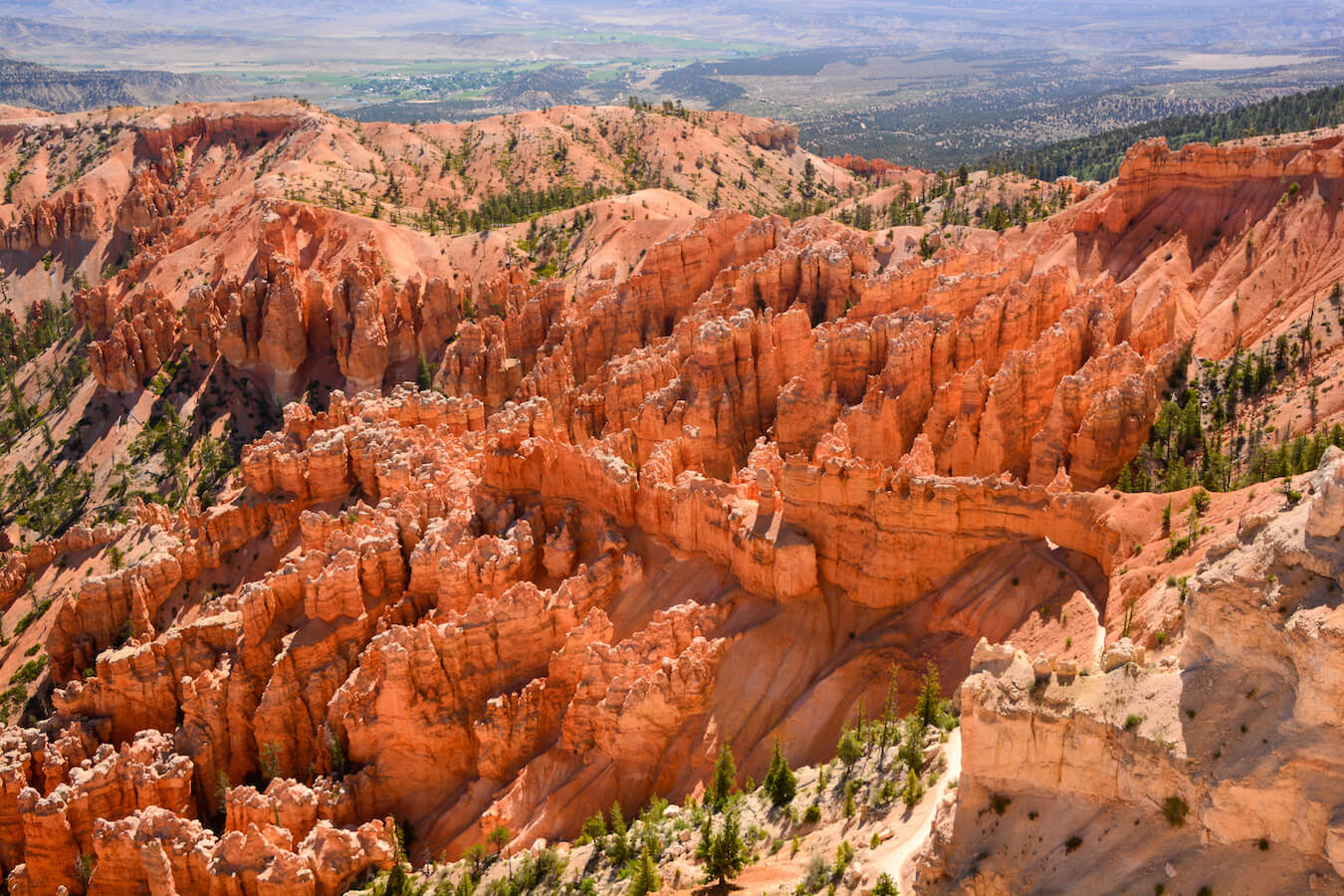 Rainbow Point, Southern Scenic Drive, Bryce Canyon National Park, Utah | Photo Credit: Shutterstock / 365 Focus Photography