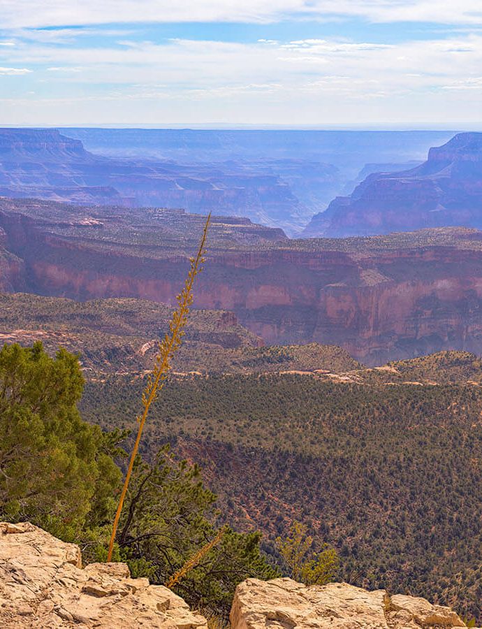 Crazy Jug PointGrand Canyon National Park 