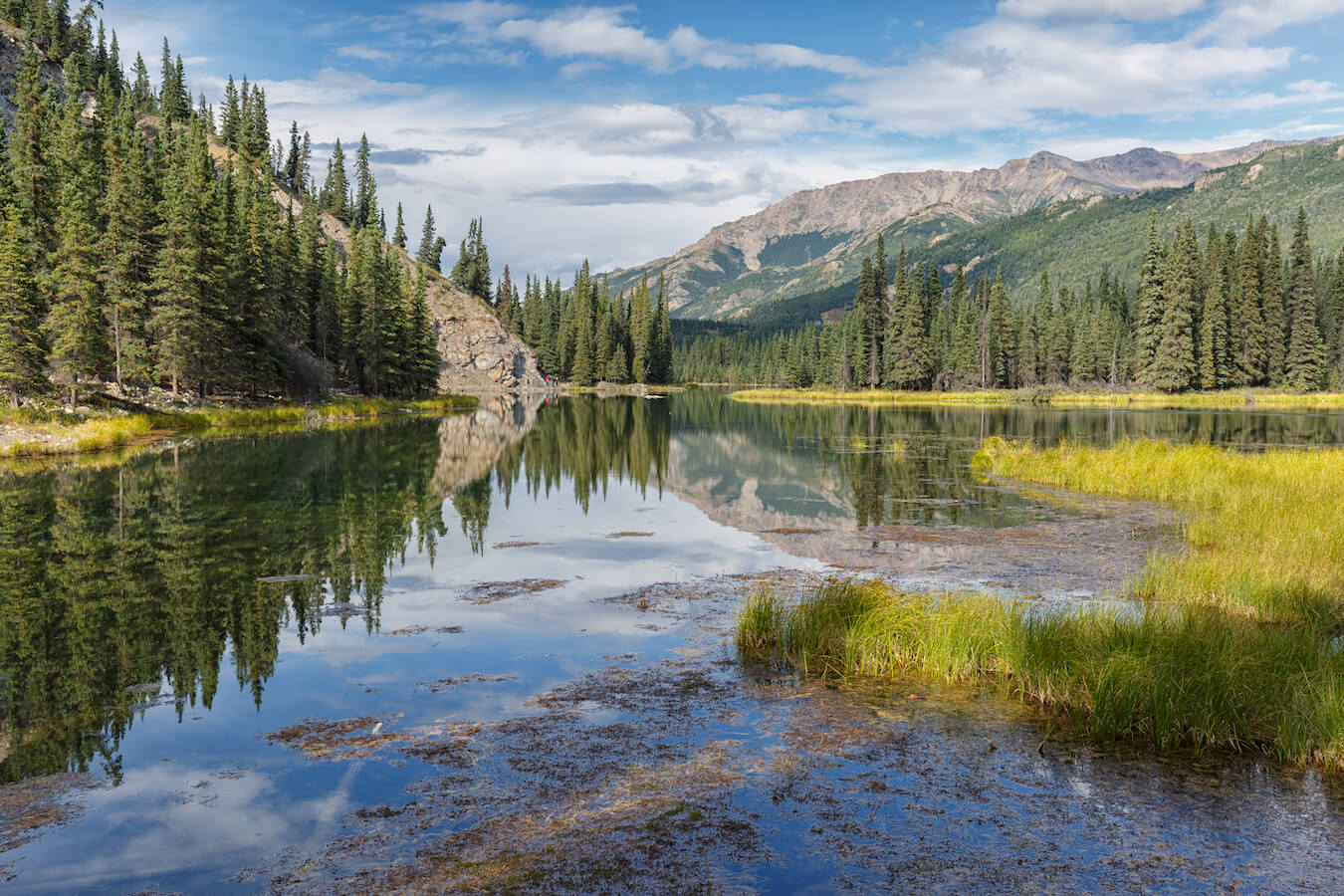 Horseshoe Lake, Denali National Park, Alaska | Photo Credit: Shutterstock / Menno Schaefer