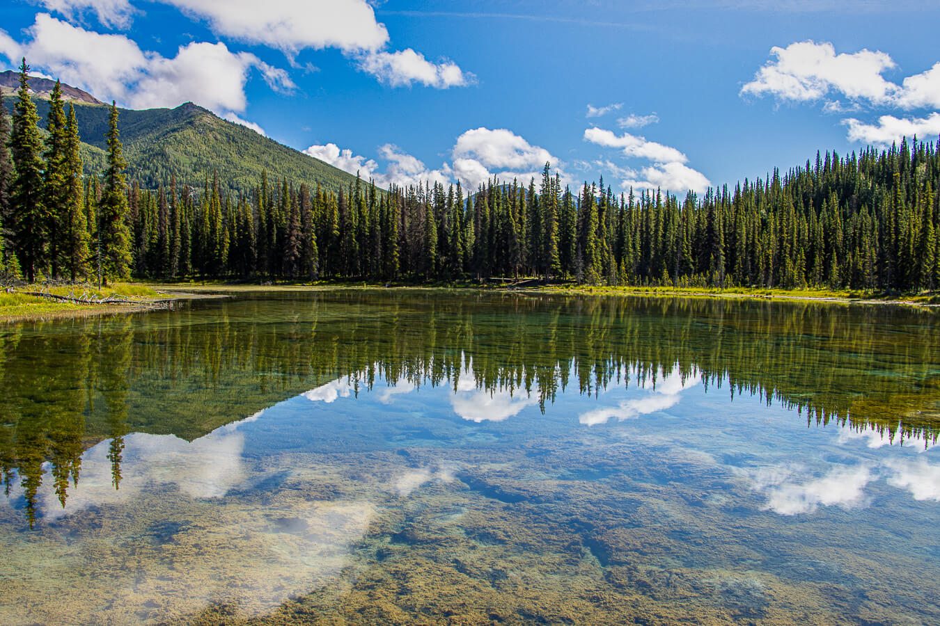 Horseshoe Lake, Denali National Park & Preserve, Alaska | Photo Credit: Tahmoures Tom Tabatabaei