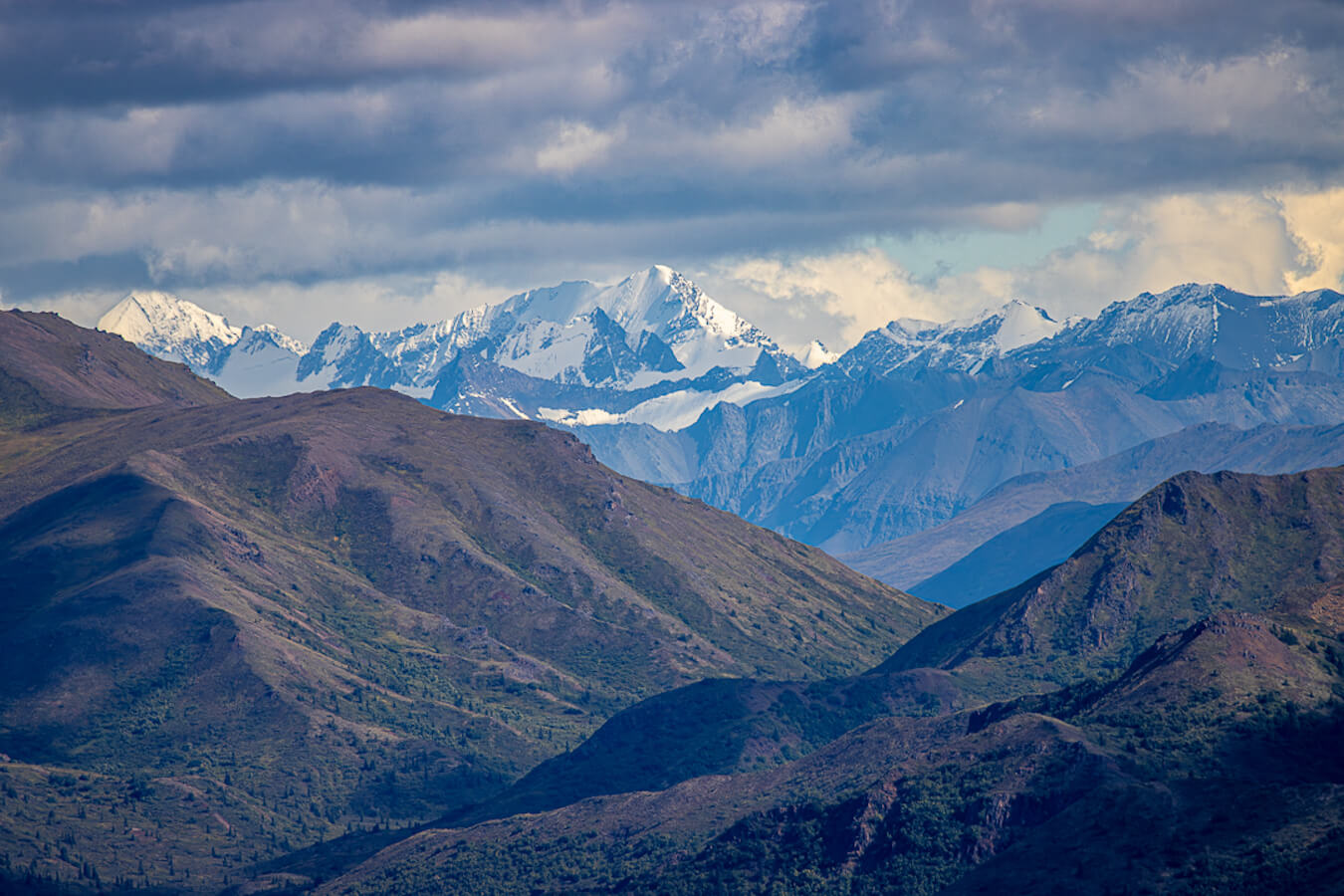 Mount Healy Overlook, Denali National Park & Preserve, Alaska | Photo Credit: Tahmoures Tom Tabatabaei