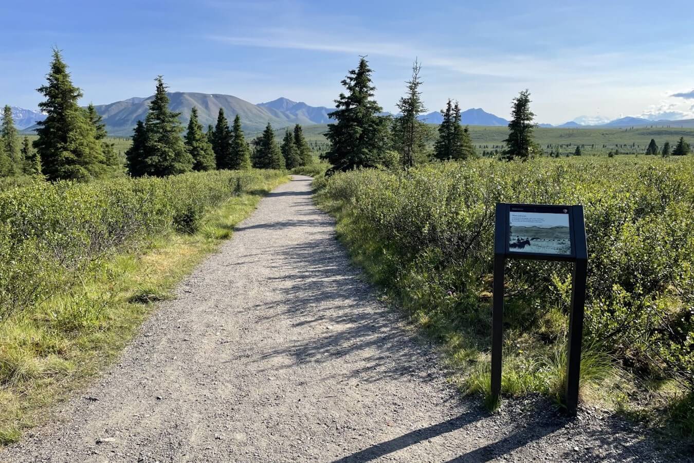 Mountain Vista Trail, Denali National Park, Alaska | Photo Credit: NPS / Laura Vachula