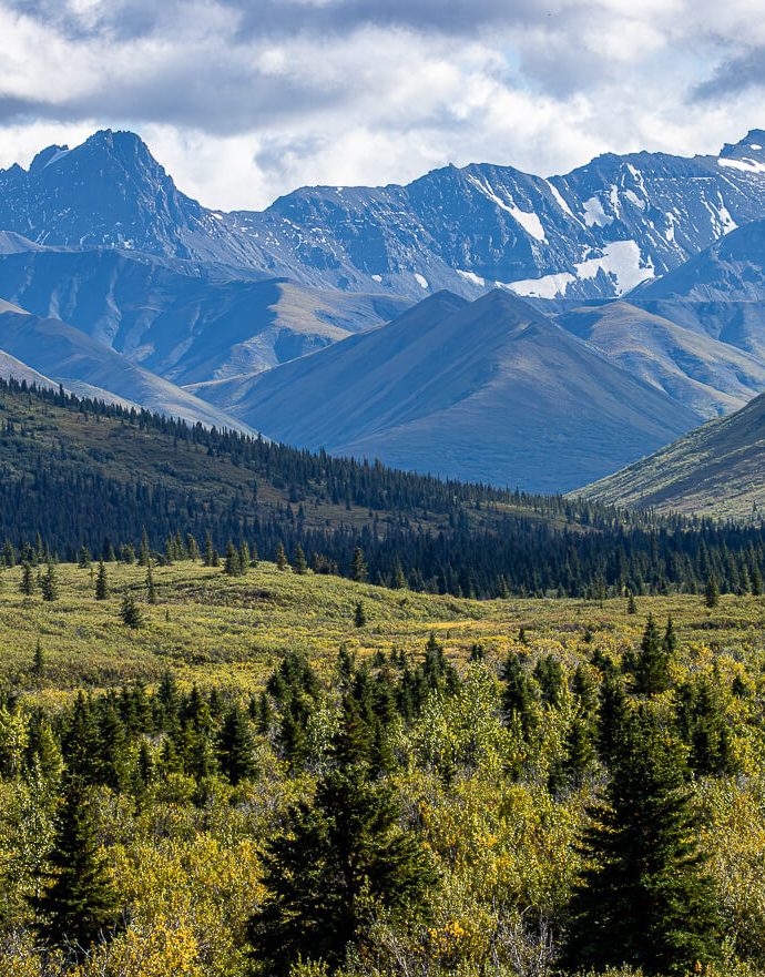 Mountain Vista TrailDenali National Park and Preserve 