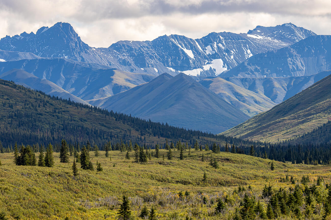 Mountain Vista Trail, Denali National Park & Preserve, Alaska | Photo Credit: Tahmoures Tom Tabatabaei