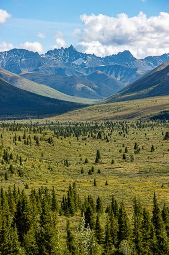 Mountain Vista Trail, Denali National Park & Preserve, Alaska | Photo Credit: Tahmoures Tom Tabatabaei