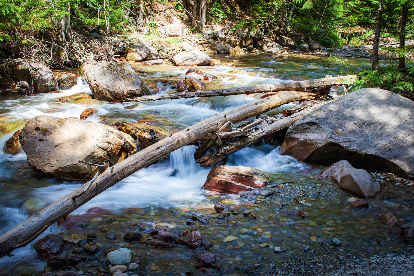 Avalanche Creek, Glacier National Park, Montana | Photo Credit: Vezzani Photography