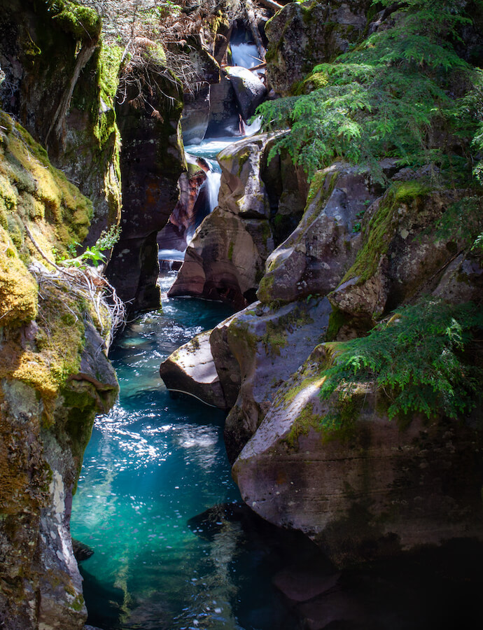 Avalanche Creek National Park Photographer