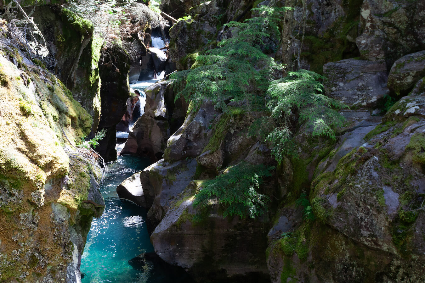 Avalanche Creek, Glacier National Park, Montana | Photo Credit: Vezzani Photography