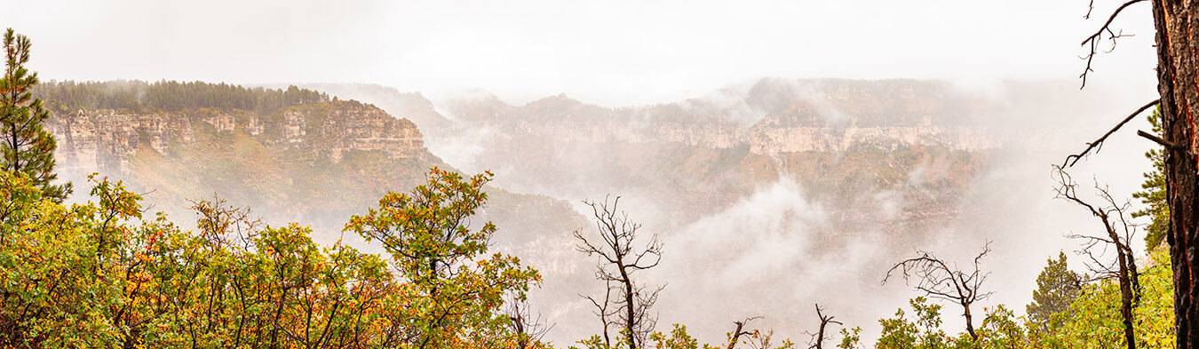 Sublime Fog in the Canyon at Point Sublime, North Rim, Grand Canyon National Park, Arizona | Photo Credit: Abba’s Creations Photography