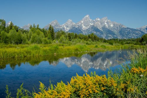 Schwabacher Landing, Grand Teton National Park, Wyoming | Photo Credit: Tahmoures Tom Tabatabaei