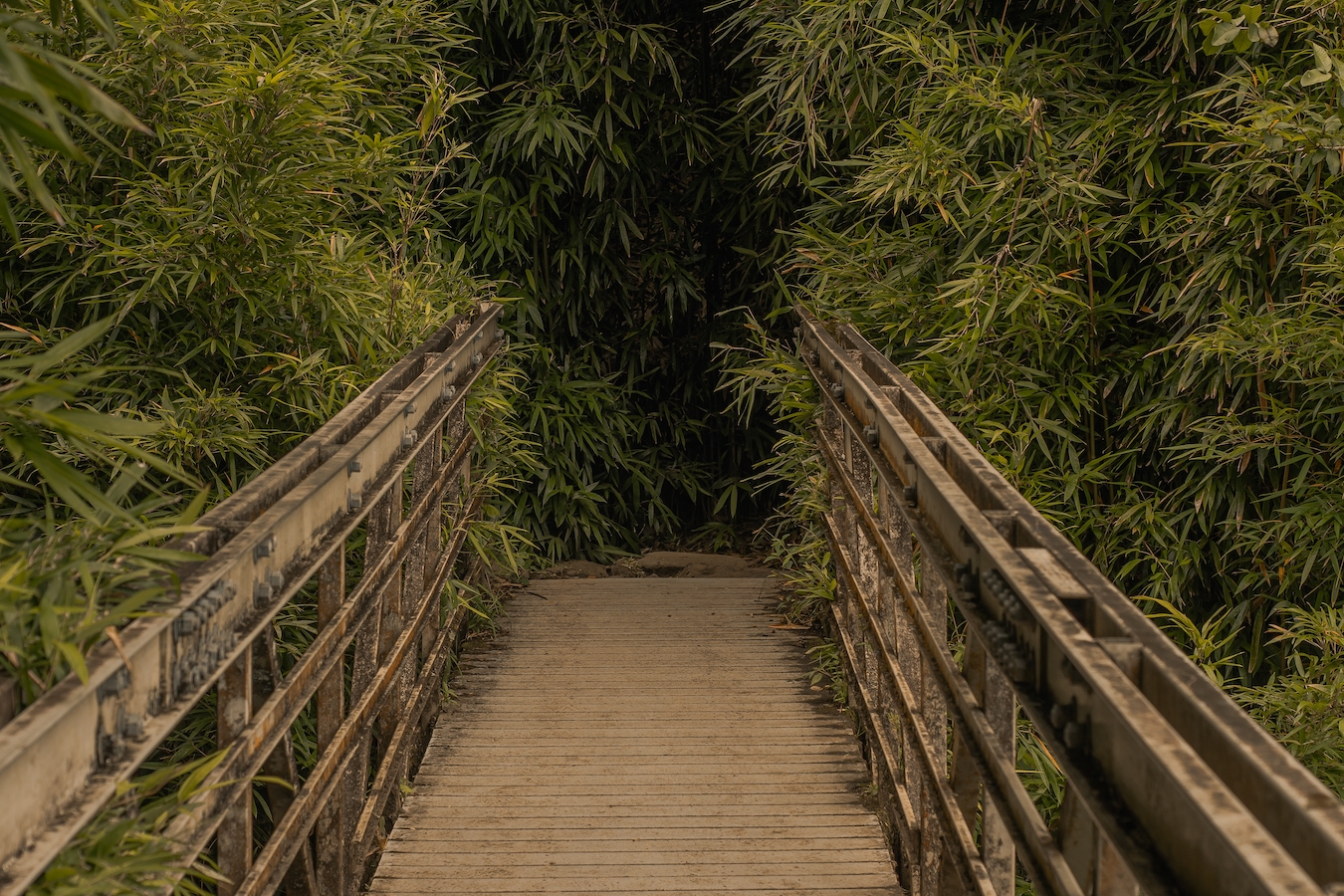 Bridges, Haleakalā National Park, Hawaii | Photo Credit: Shutterstock / aamartinez