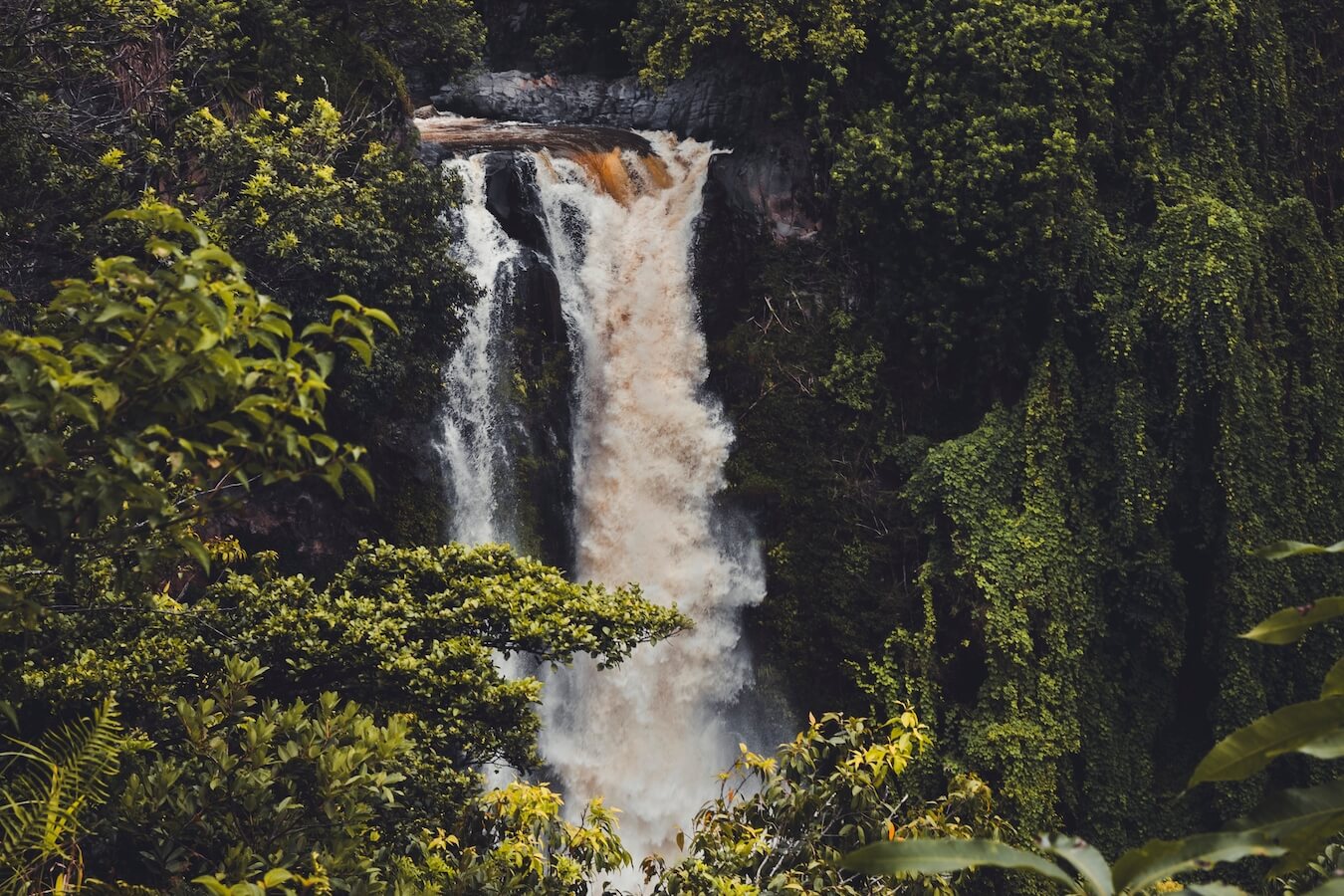 Makahiku Falls, Haleakalā National Park, Hawaii | Photo Credit: Shutterstock / yggdrasill