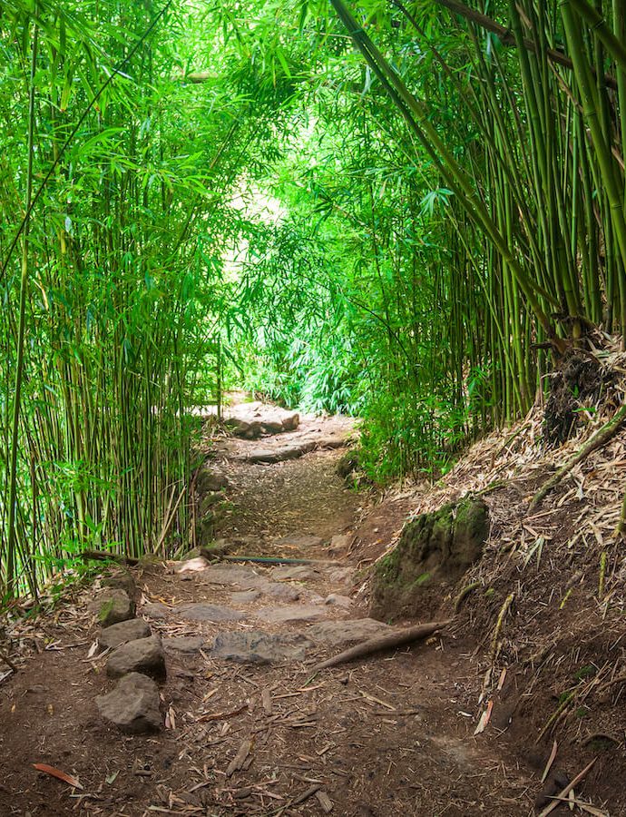 Pīpīwai TrailHaleakalā National Park 