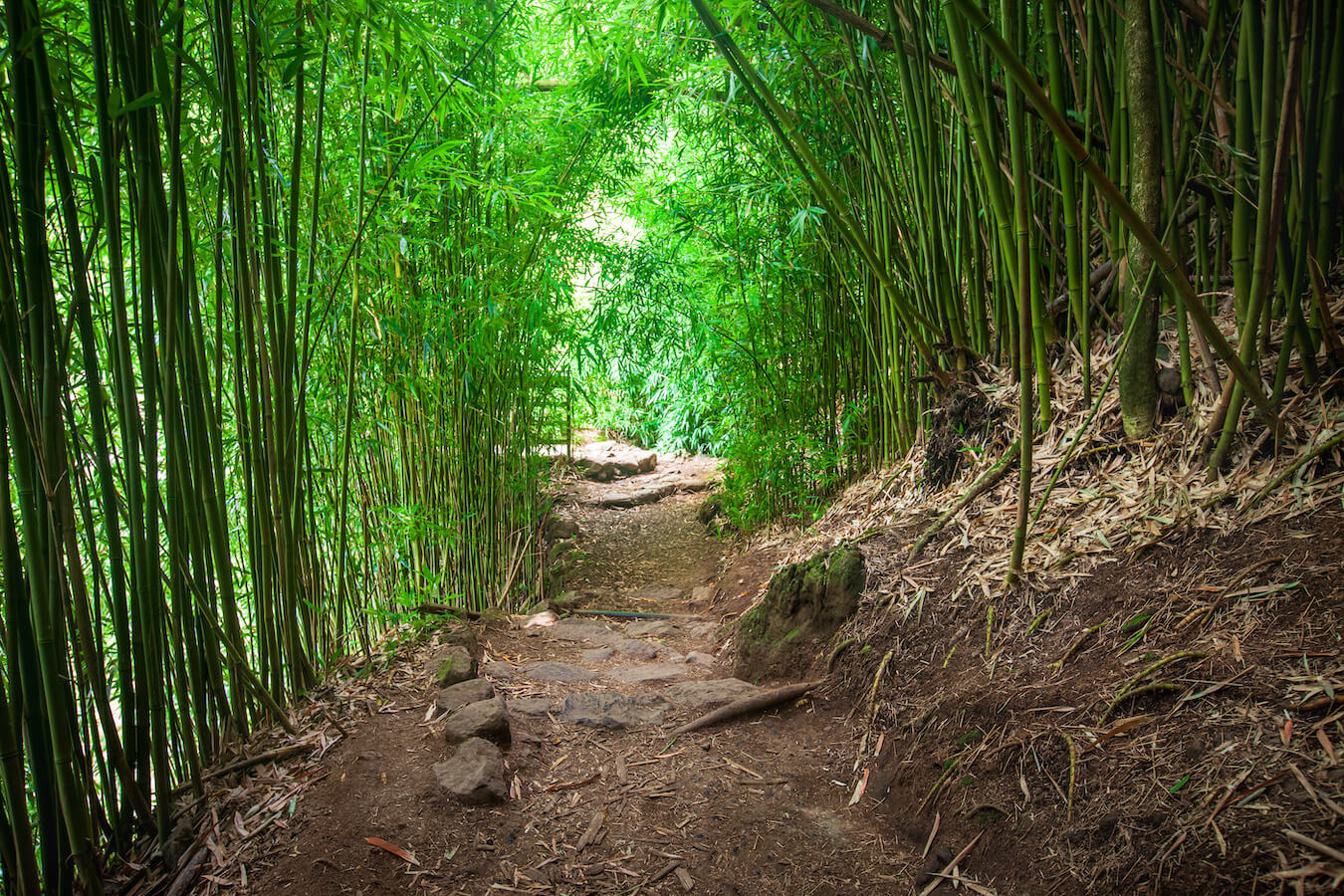 Pīpīwai Trail, Haleakalā National Park, Hawaii | Photo Credit: Vezzani Photography