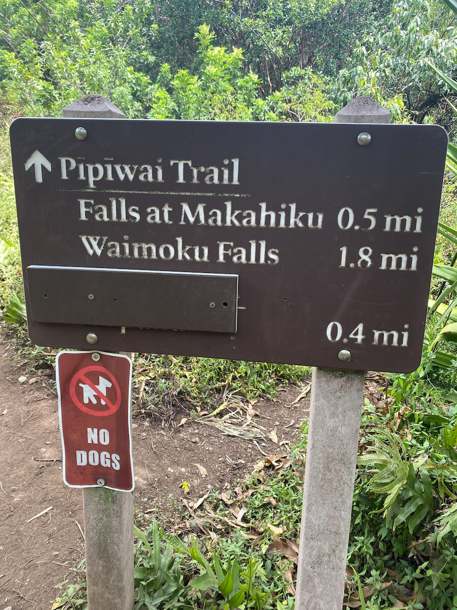 Pīpīwai Trail, Haleakalā National Park, Hawaii | Photo Credit: Vezzani Photography