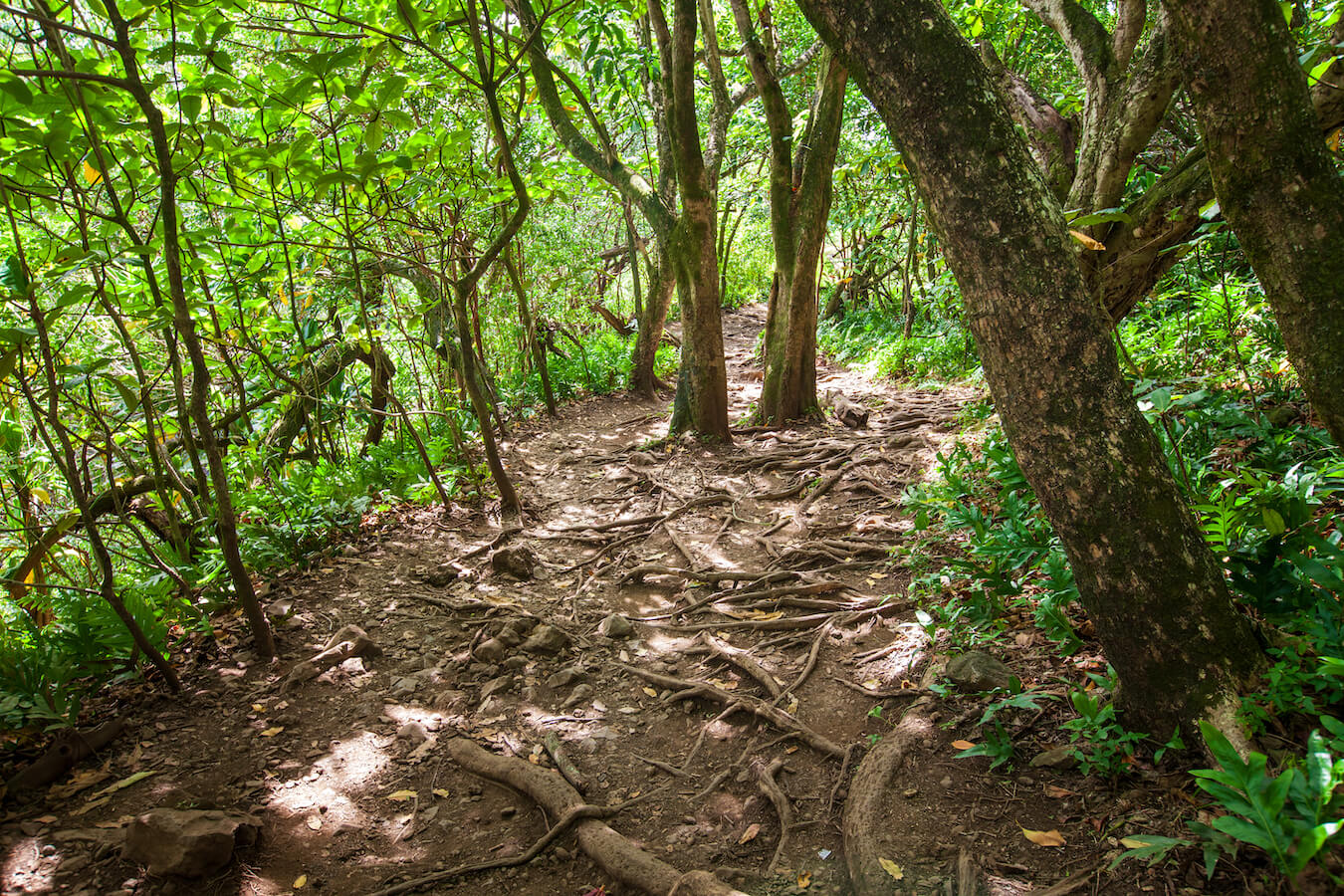 Pīpīwai Trail, Haleakalā National Park, Hawaii | Photo Credit: Vezzani Photography