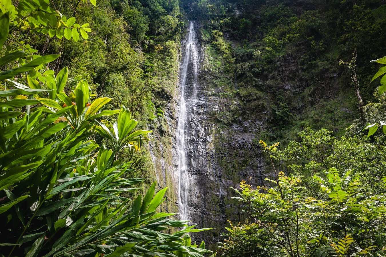 Waimoku Falls, Haleakalā National Park, Hawaii | Photo Credit: Vezzani Photography