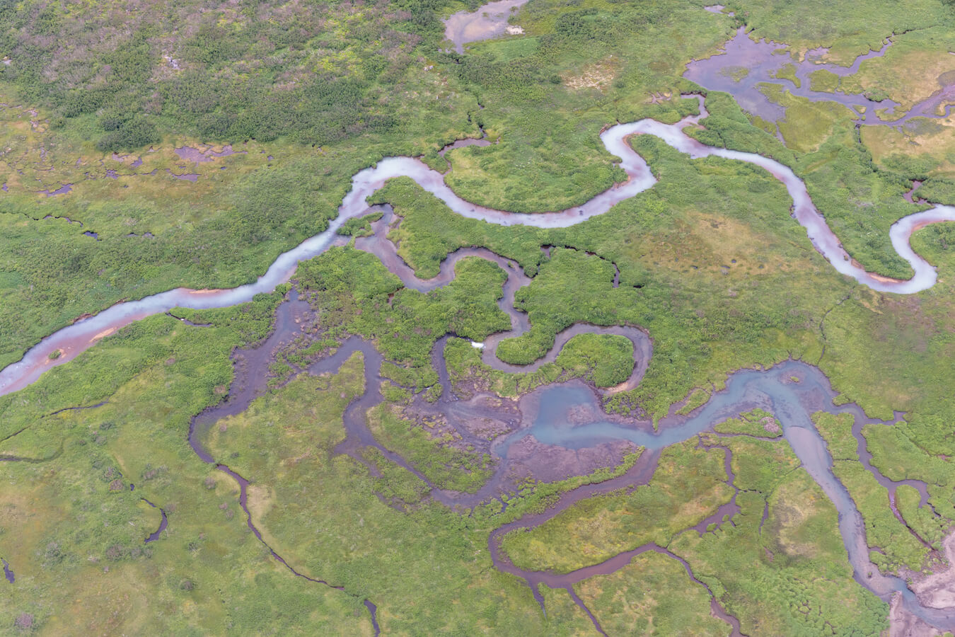 Brooks Falls, Katmai National Park & Preserve, Alaska | Photo Credit: Greg Thomas
