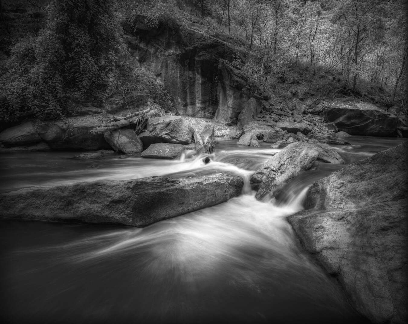 Motion, Zion National Park, Utah, Masterclass, Black and White Photography | Photo Credit: Gary Wagner