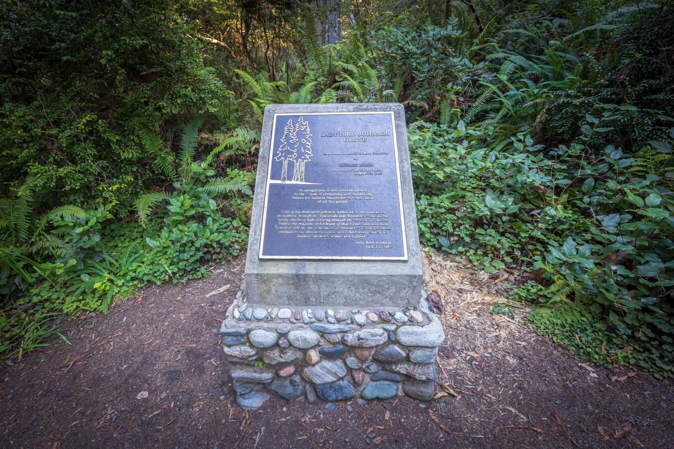 Lady Bird Johnson Grove Trail, Redwood National and State Parks, California | Photo Credit: Juventa Vezzani