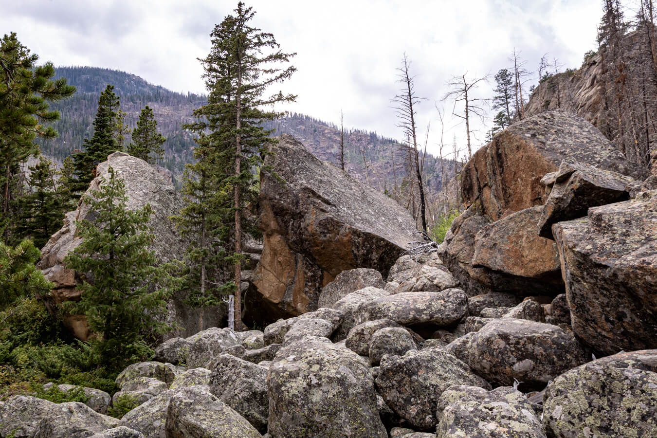 Arch Rocks Campground, Rocky Mountain National Park, Colorado | Photo Credit: Juventa Vezzani