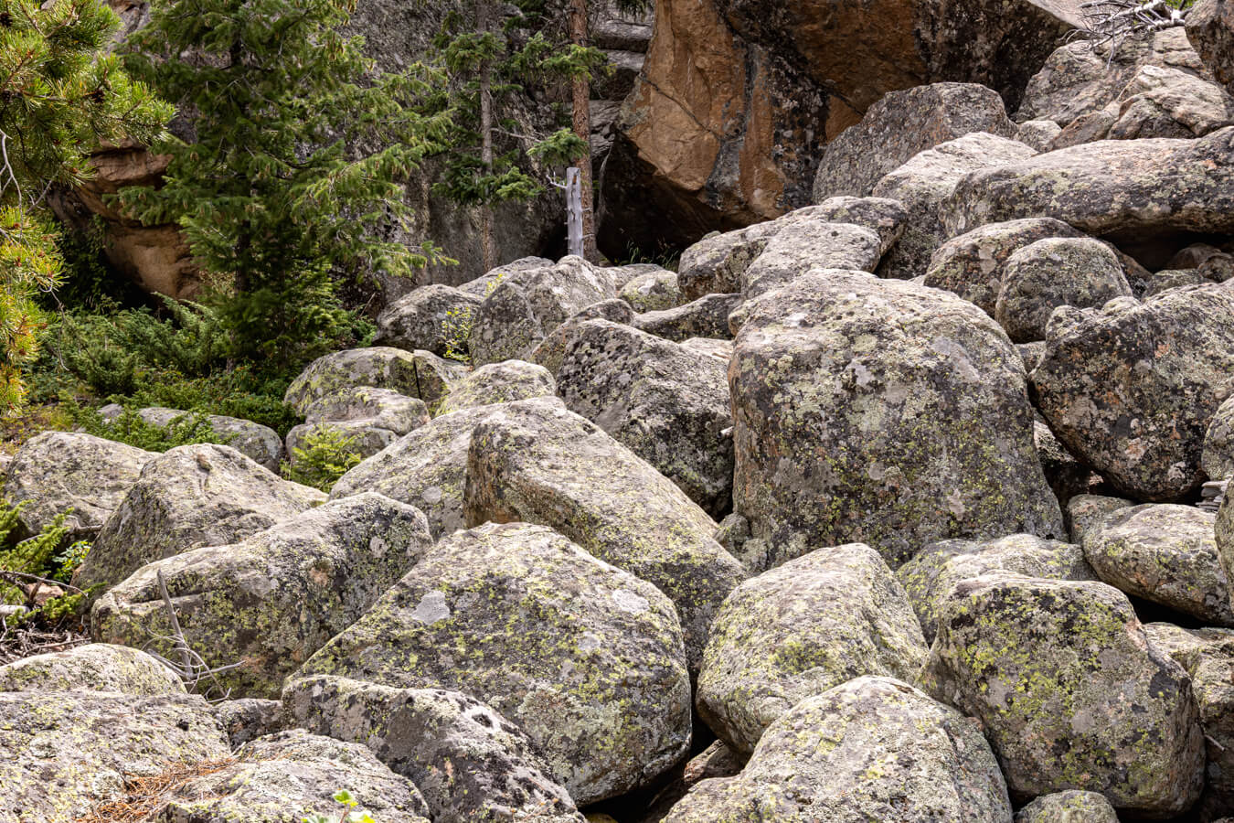 Arch Rocks Campground, Rocky Mountain National Park, Colorado | Photo Credit: Juventa Vezzani