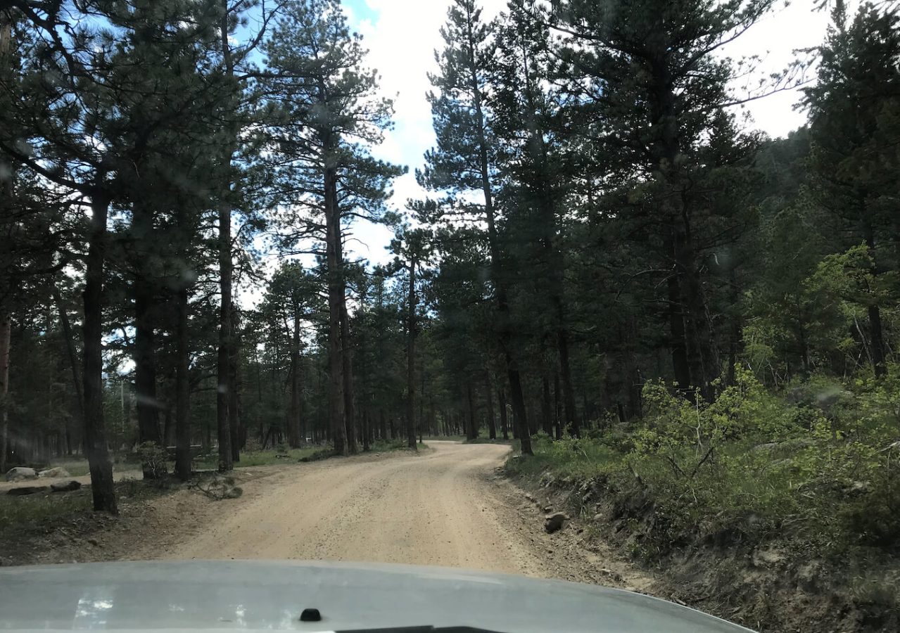 Road Leading to the Wild Basin Area and Copeland Falls Hike, Rocky Mountain National Park, Colorado | Photo Credit: Juventa Vezzani