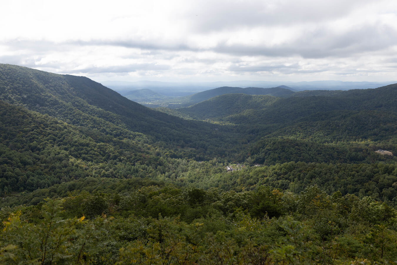 Bacon Hollow Overlook, Shenandoah National Park, Virginia | Photo Credit: NPS / Peter Forister