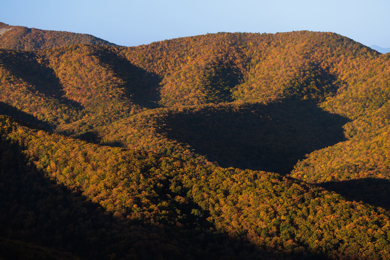 Brown Mountain Overlook, Shenandoah National Park, Virginia | Photo Credit: NPS / Peter Forister