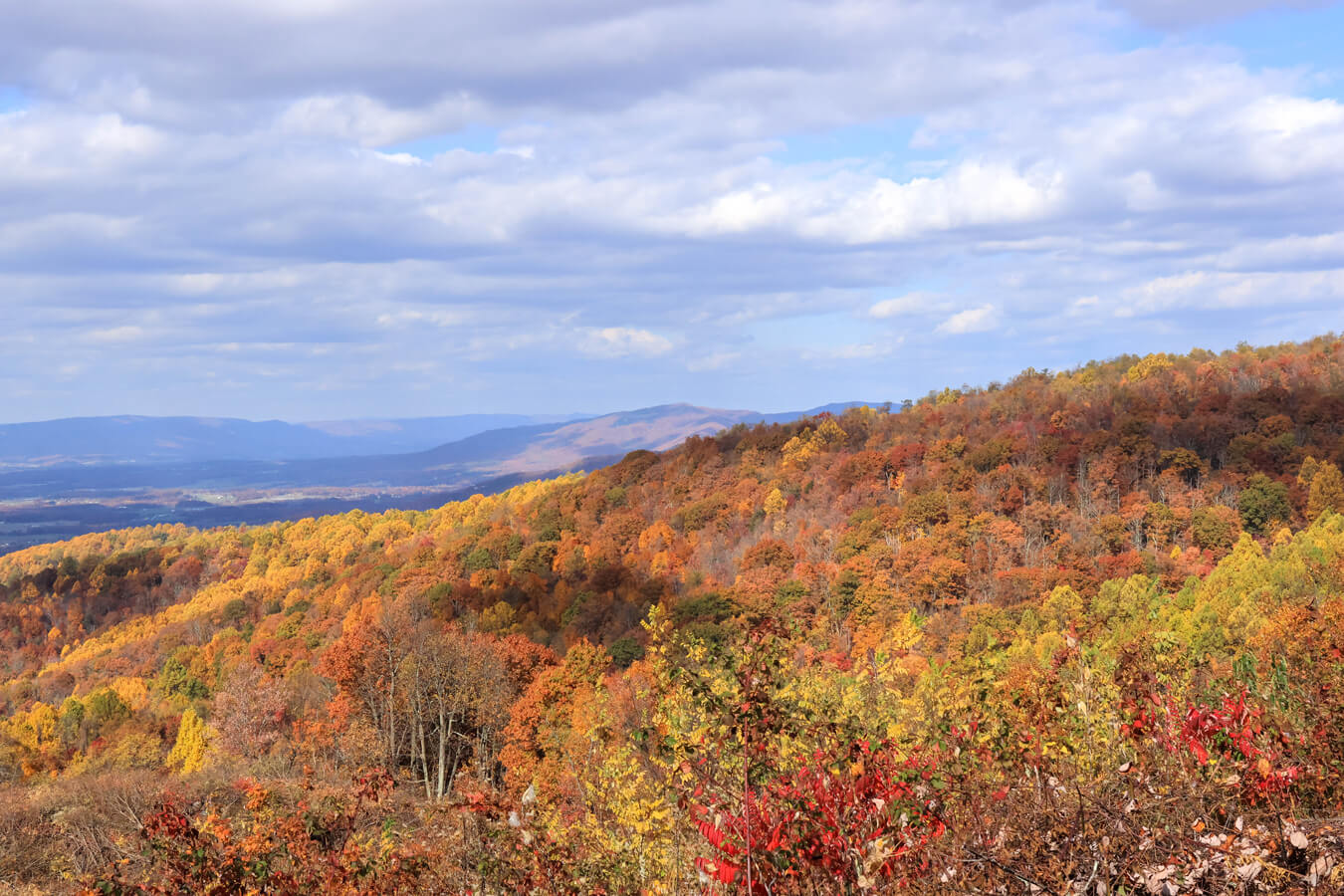 Crimora Lake Overlook, Shenandoah National Park, Virginia | Photo Credit: NPS / Erica Stevens