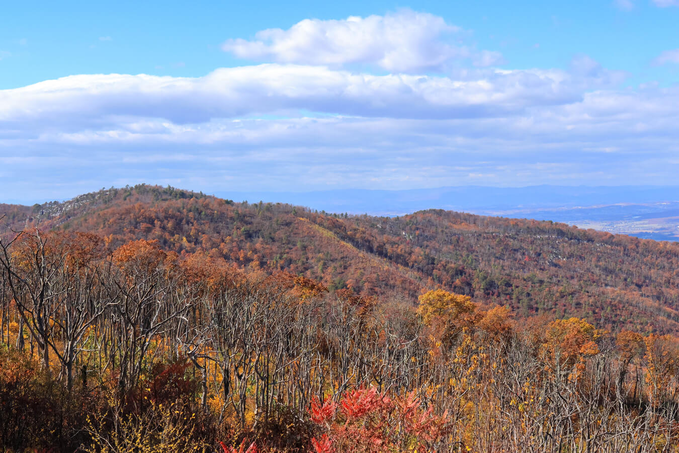 Eaton Hollow Overlook, Shenandoah National Park, Virginia | Photo Credit: NPS / Erica Stevens
