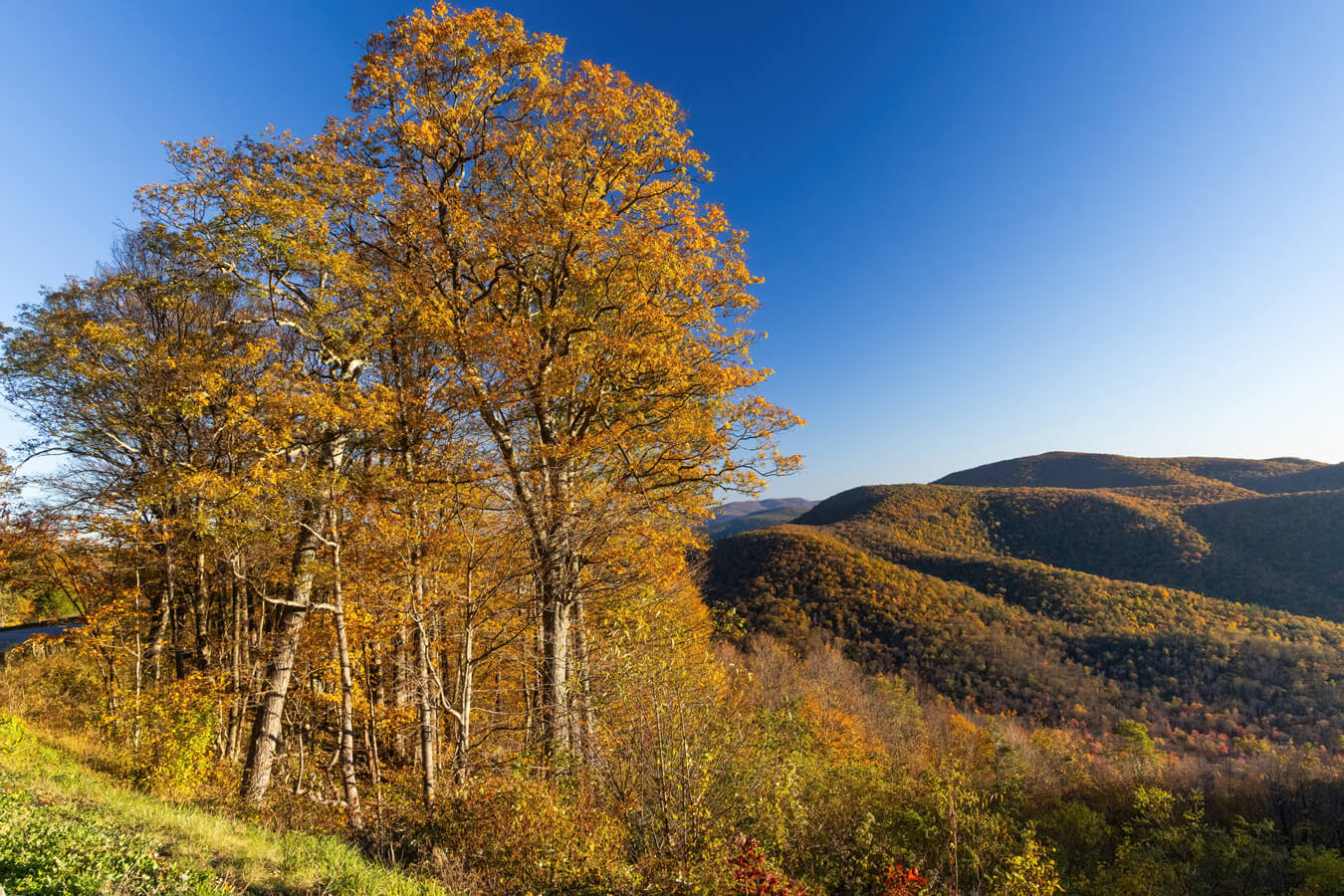 Hemlock Springs Overlook, Shenandoah National Park, Virginia | Photo Credit: NPS / Janet Rigoni