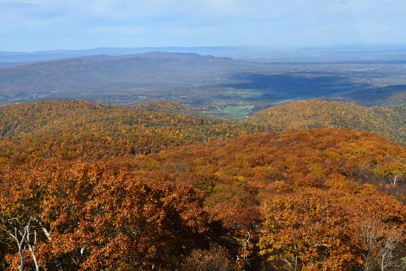 Hogback Overlook, Shenandoah National Park, Virginia | Photo Credit: NPS / Richard Hayden