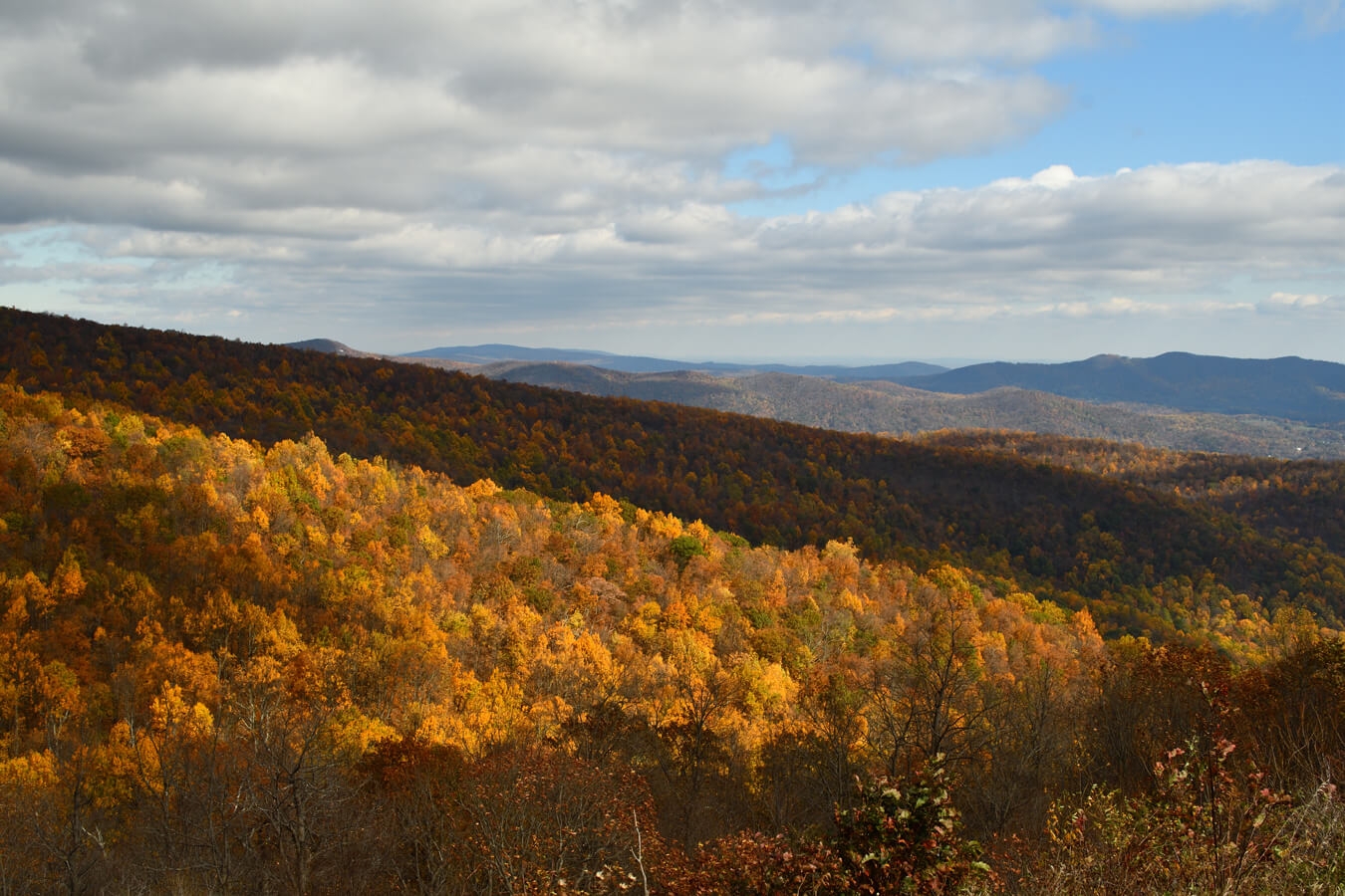 Shenandoah-Indian-Run-Overlook-NPS-Richard-Hayden-Original.jpg