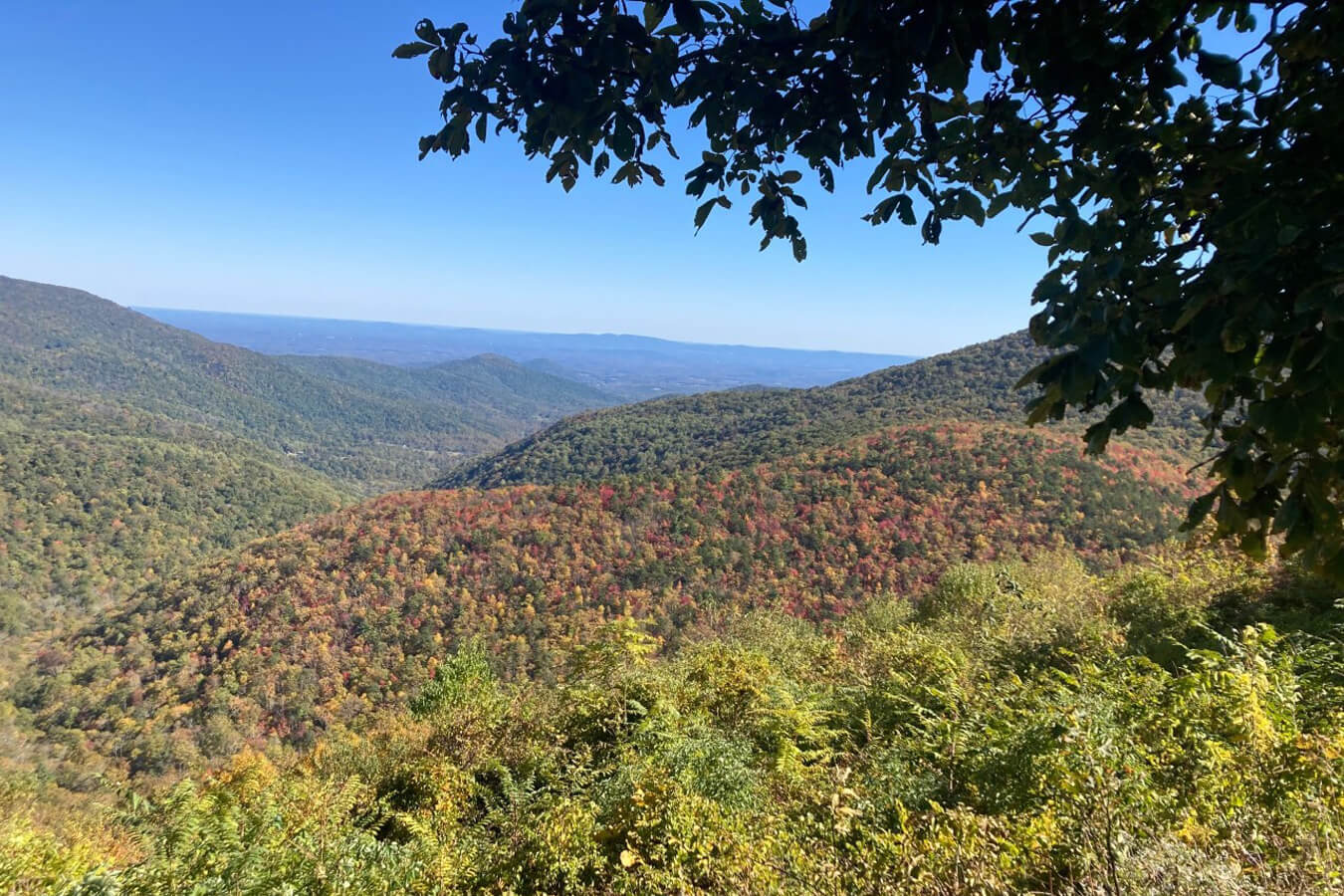 Ivy Creek Overlook, Shenandoah National Park, Virginia | Photo Credit: NPS