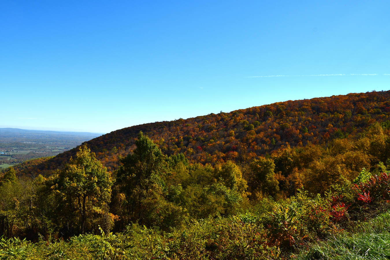 Jenkins Gap Overlook, Shenandoah National Park, Virginia | Photo Credit: NPS / Richard Hayden