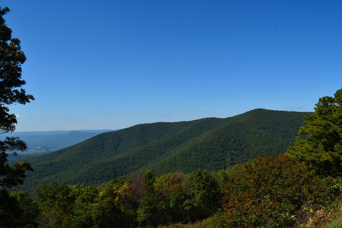 Jeremys Run Overlook, Shenandoah National Park, Virginia | Photo Credit: NPS / Richard Hayden