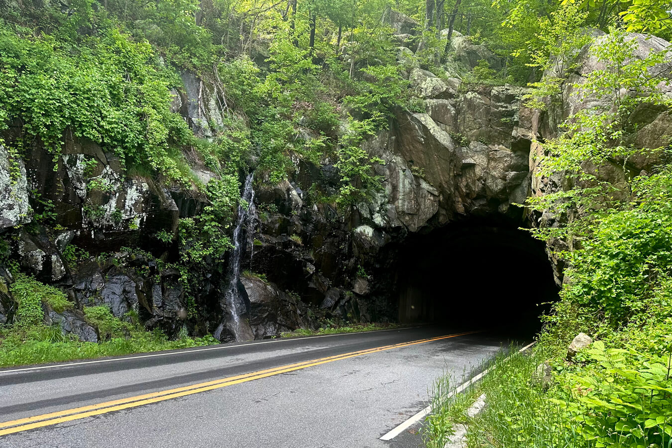 Mary's Rock Tunnel, Shenandoah National Park, Virginia | Photo Credit: Bonnie Clark