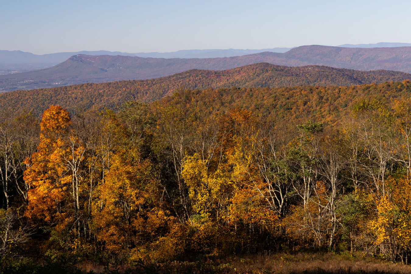 Naked Creek Overlook, Shenandoah National Park, Virginia | Photo Credit: NPS / Janet Rigoni