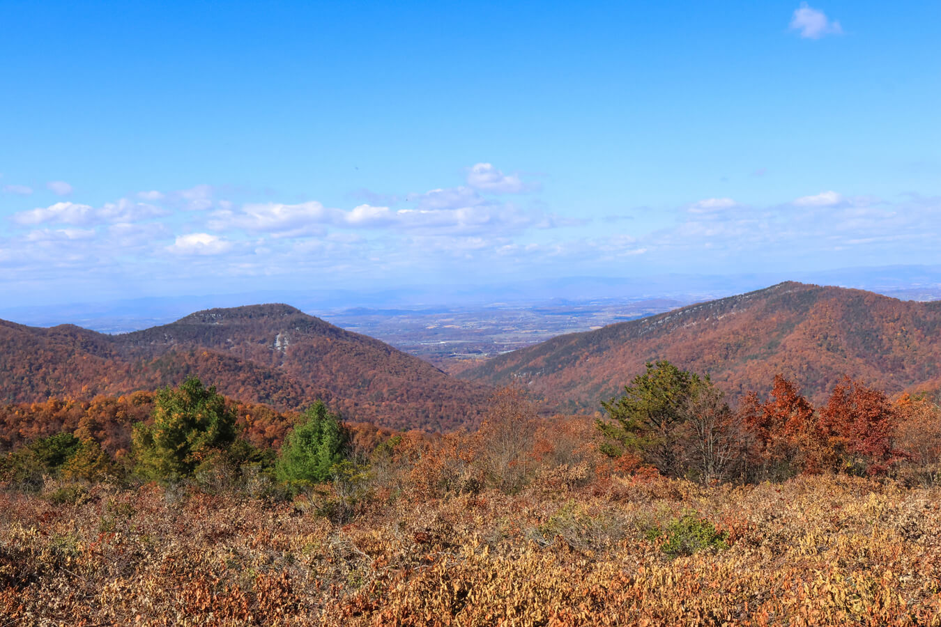 Rip Rap Overlook, Shenandoah National Park, Virginia | Photo Credit: NPS / Erica Stevens